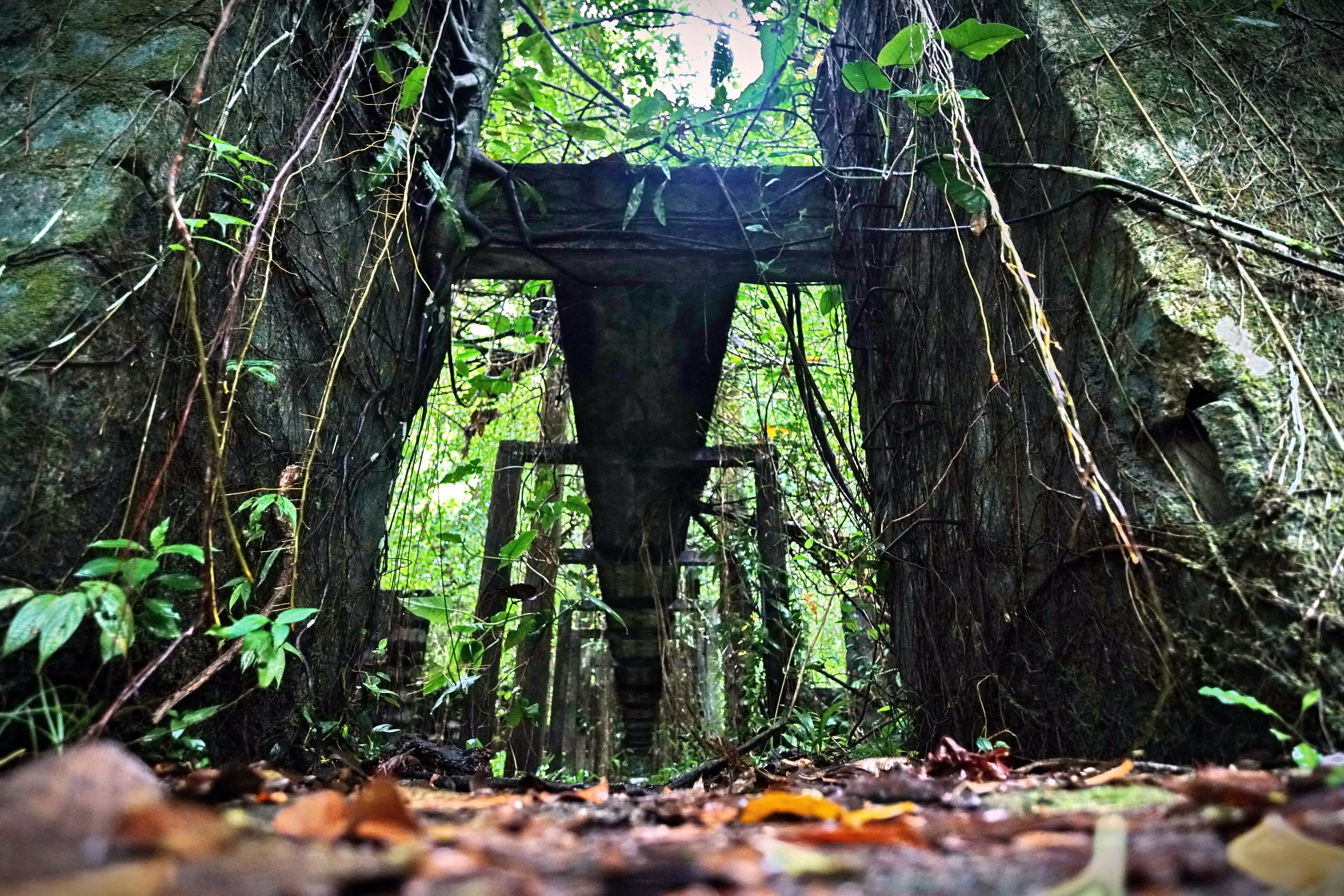 La isla Gorgona dejó de ser cárcel en 1984 y se ha convertido en un importante lugar para el turismo. Además, es reconocida por su biodiversidad. Su nombre se debe a las serpientes que habitan en la isla. Funcionó durante 24 años y cerró en 1984 por denuncias de torturas y violaciones a derechos humanos. Hoy en ruinas, así se observa la prisión más temida en sus tiempos. Foto Jorge Orozco / El País.