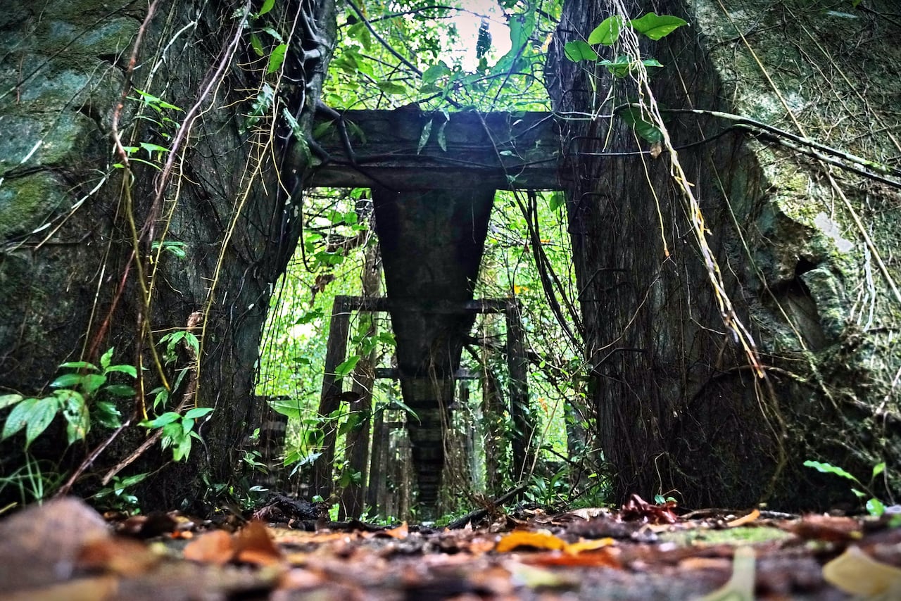 La isla Gorgona dejó de ser cárcel en 1984 y se ha convertido en un importante lugar para el turismo. Además, es reconocida por su biodiversidad. Su nombre se debe a las serpientes que habitan en la isla. Funcionó durante 24 años y cerró en 1984 por denuncias de torturas y violaciones a derechos humanos. Hoy en ruinas, así se observa la prisión más temida en sus tiempos. Foto Jorge Orozco / El País.