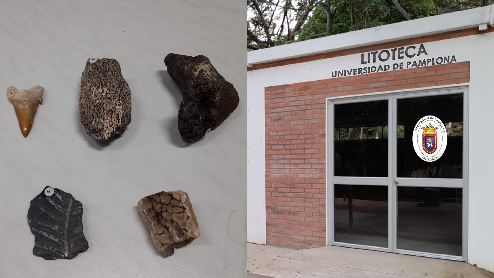 La Litoteca preserva las colecciones de muestras de roca del país.