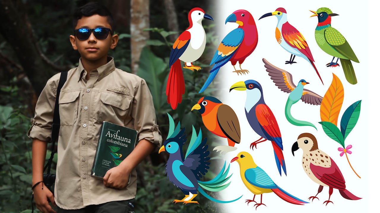 Niño que más sabe de aves en el mundo
Thiago Rosero Lasso