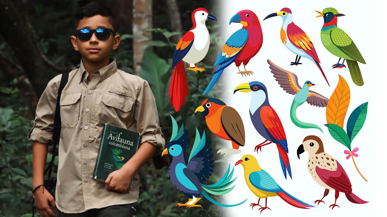 Thiago Rosero Lasso conoce como nadie el nombre y las características de más de 500 especies de aves.