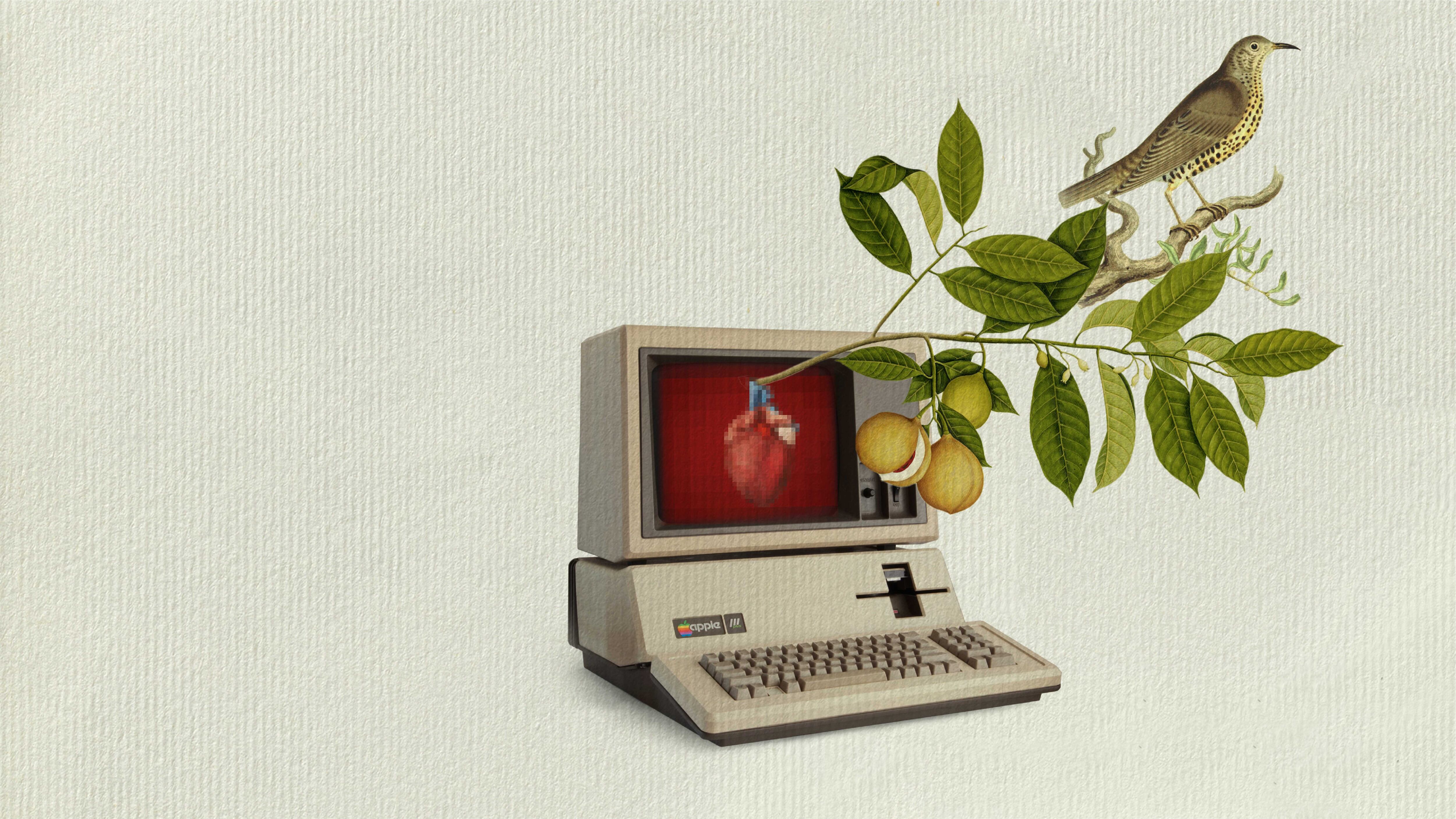 Mejores libros de poesía 2022