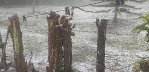 Cultivos afectados en el municipio de Gaurne.