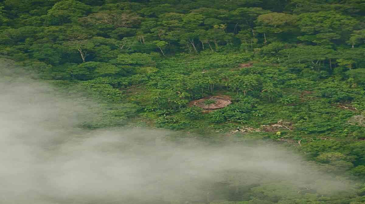 La denuncia fue hecha por la organización Pueblos Indígenas de la Amazonía Colombiana