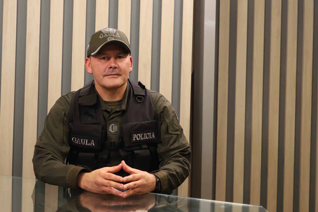 Coronel Elver Vicente Alfonso Sanabria