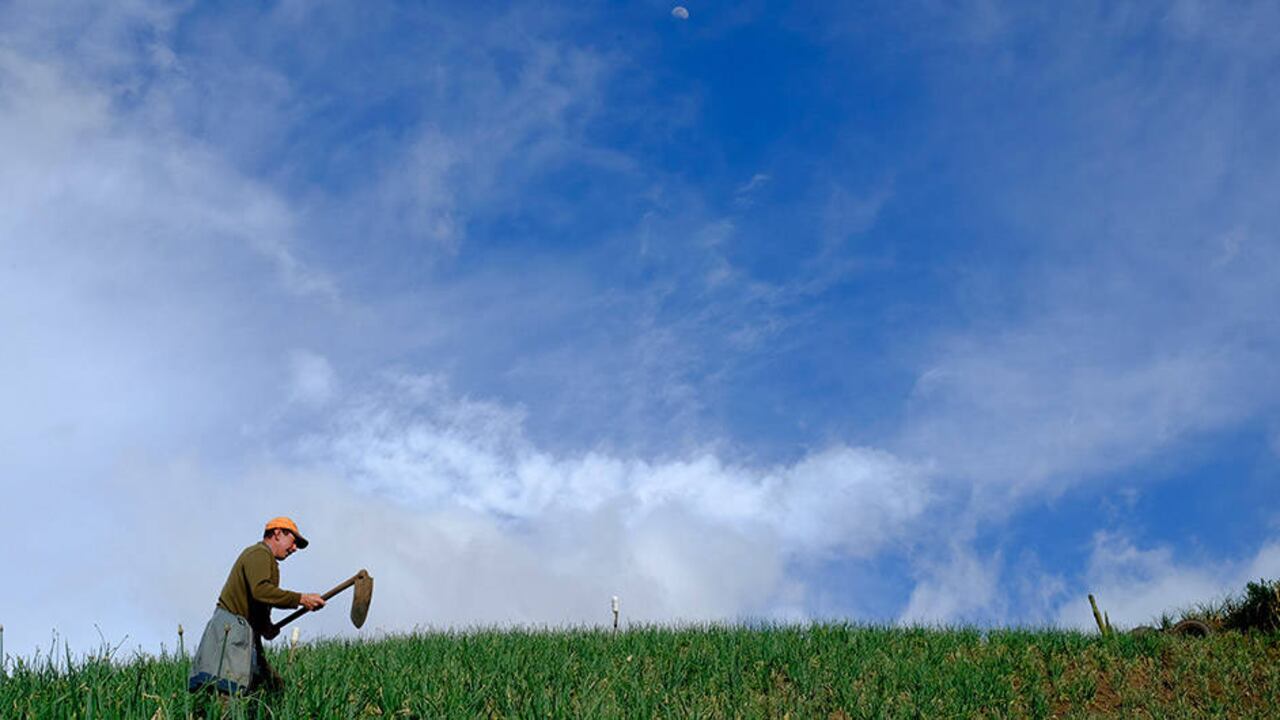 En estos tres años se han legalizado 39.509 predios beneficiando a miles de familias campesinas.