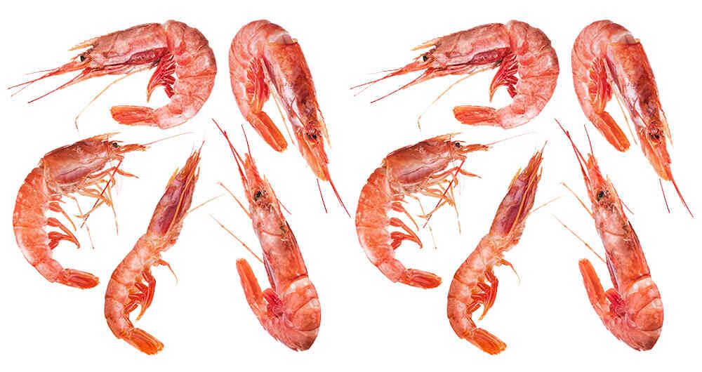 Los últimos tres años la producción se mantuvo en las 5.000 toneladas anuales.