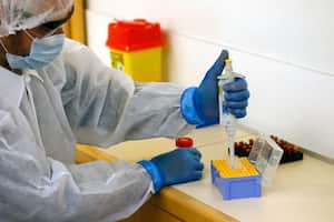 Variante del coronavirus