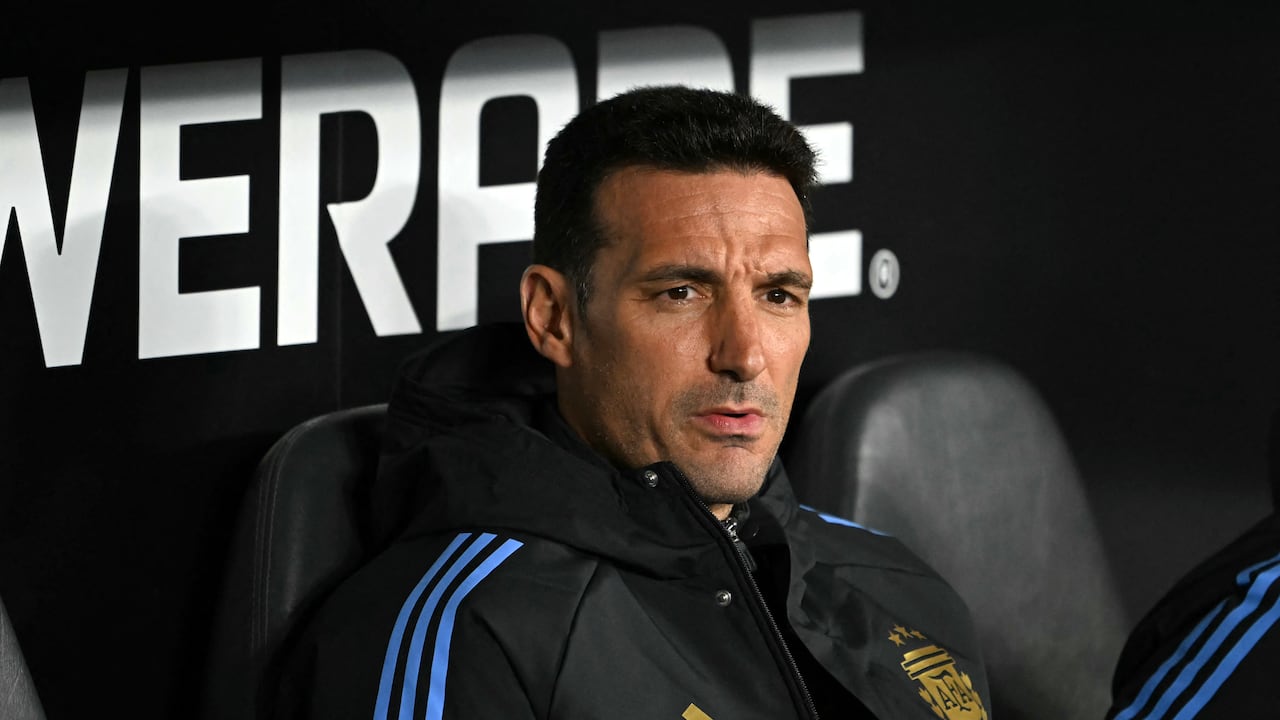 Lionel Scaloni, entrenador de la Selección Argentina