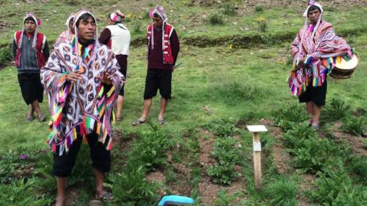 La cultura peruana le otorga un lugar especial a la papa