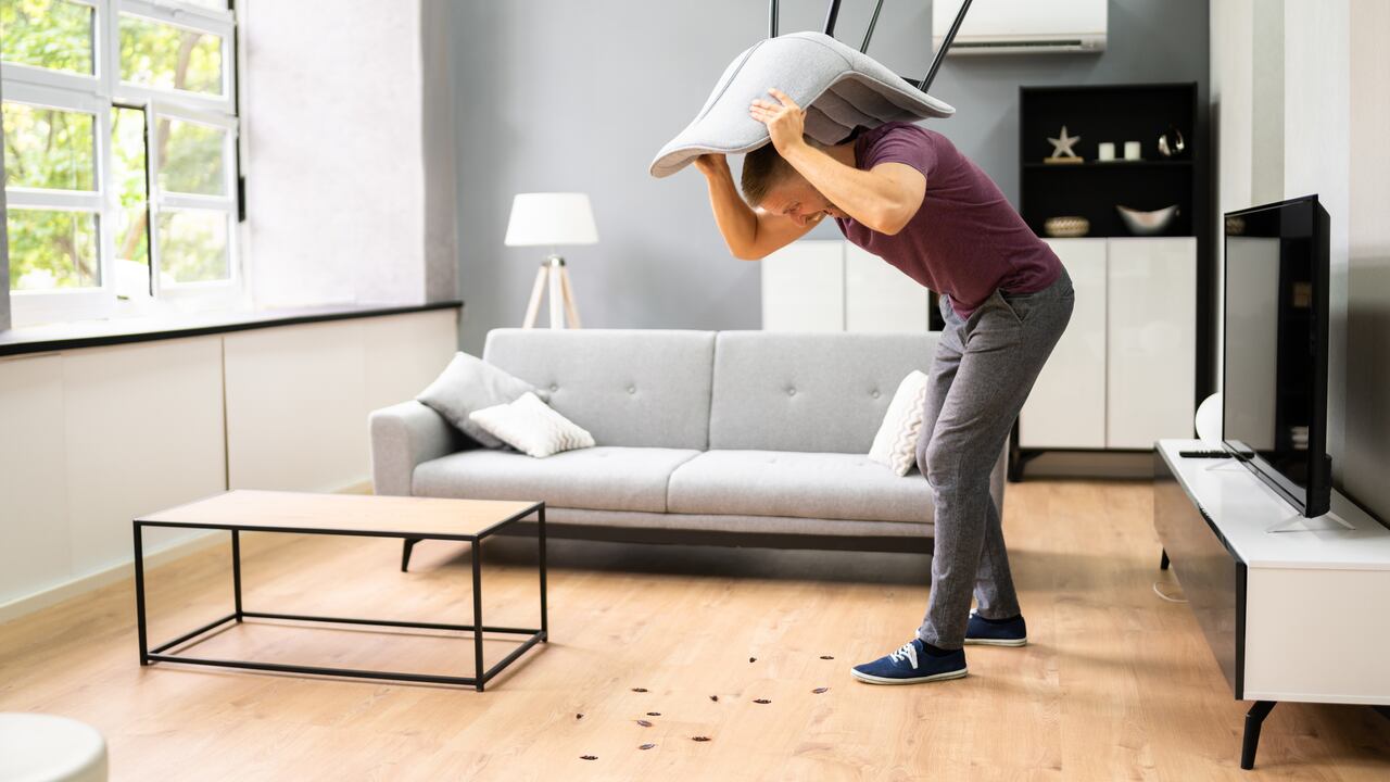 Las cucarachas cuando se proliferan en las casas pueden causar inconvenientes de salud.