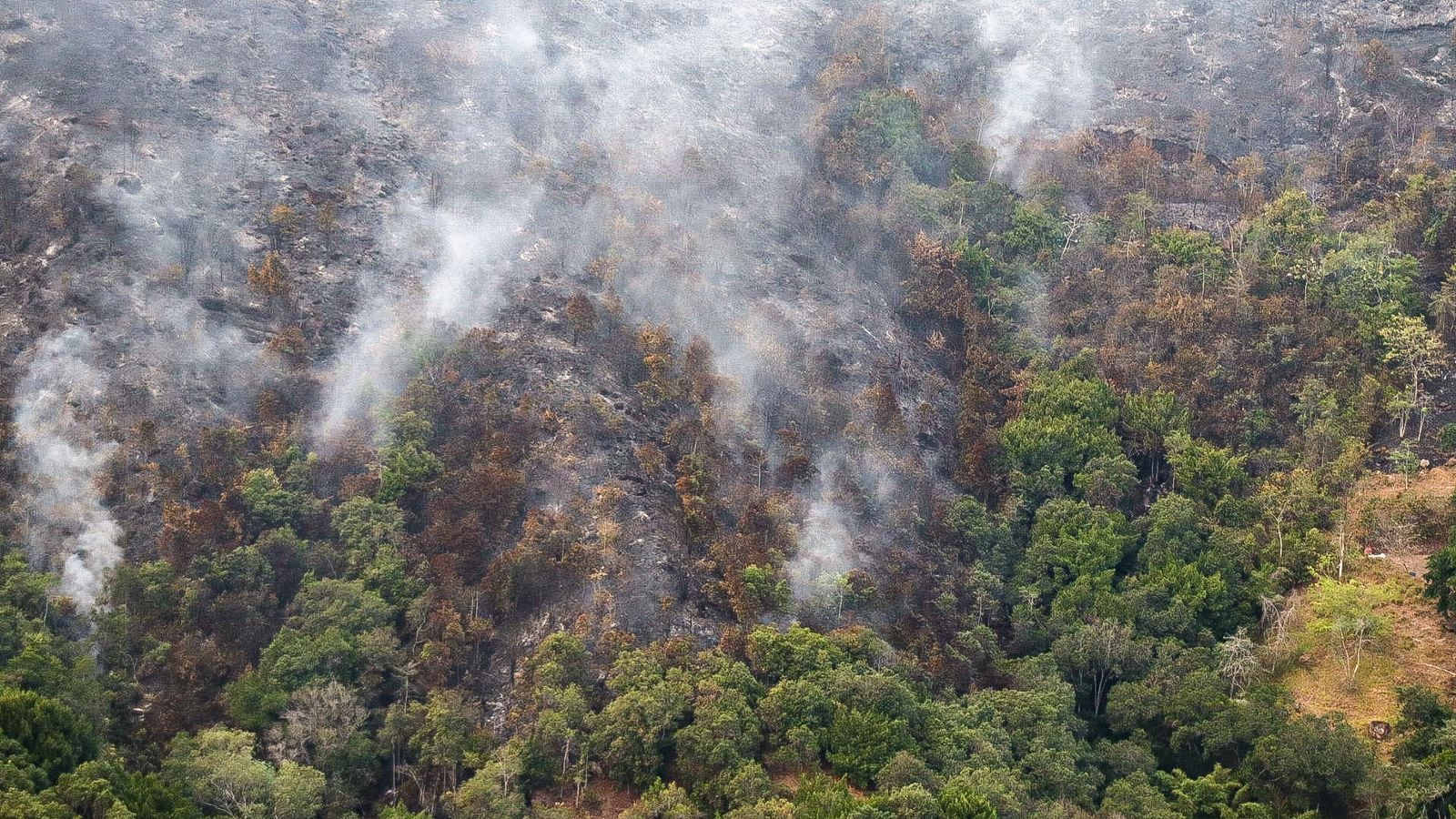 Los estragos que dejan incendios en el departamento de Santander.