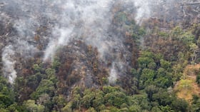 Los estragos que dejan incendios en el departamento de Santander.