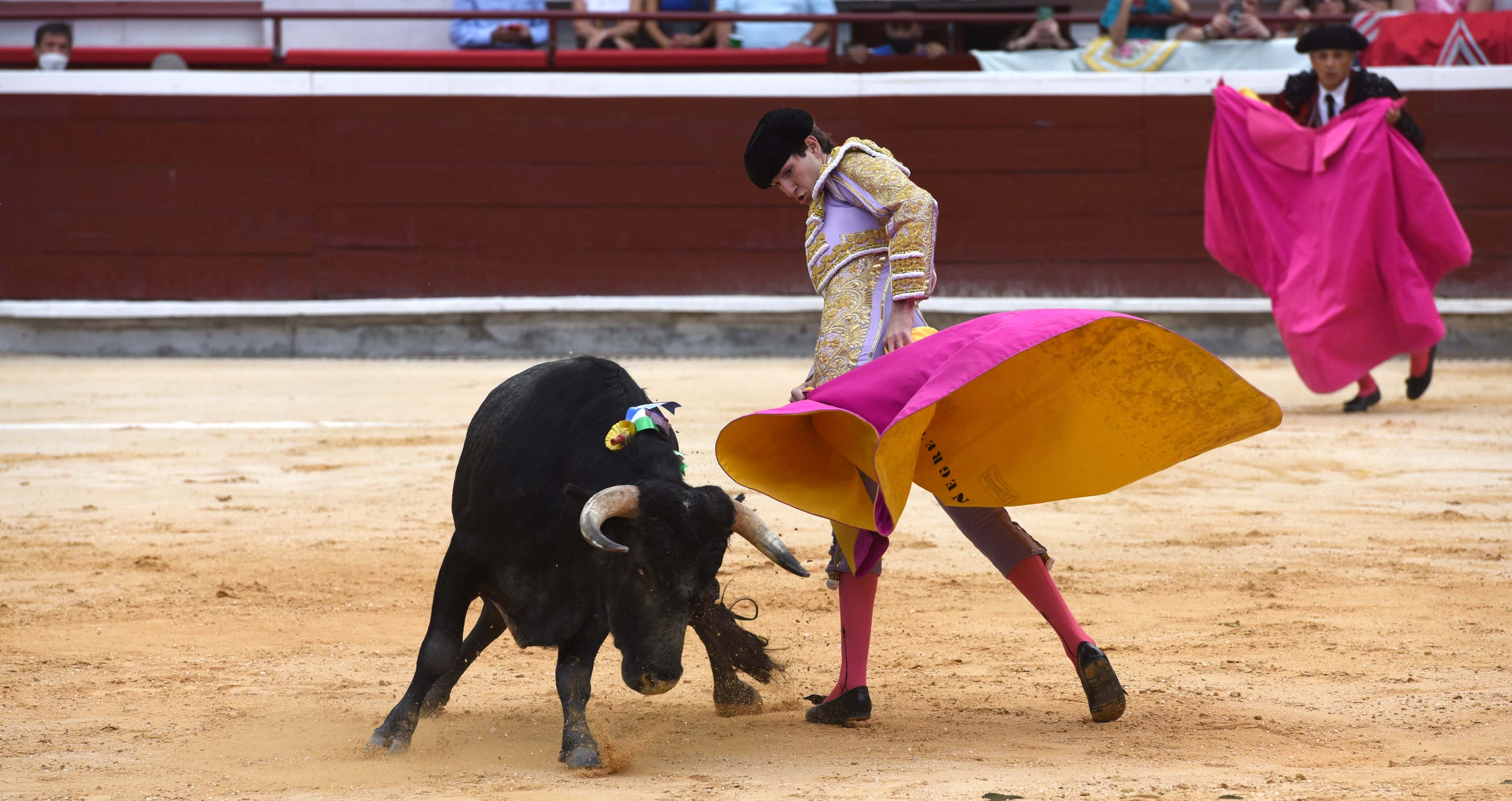 Felipe Miguel Negret, novillero sin caballos de Bogotá.