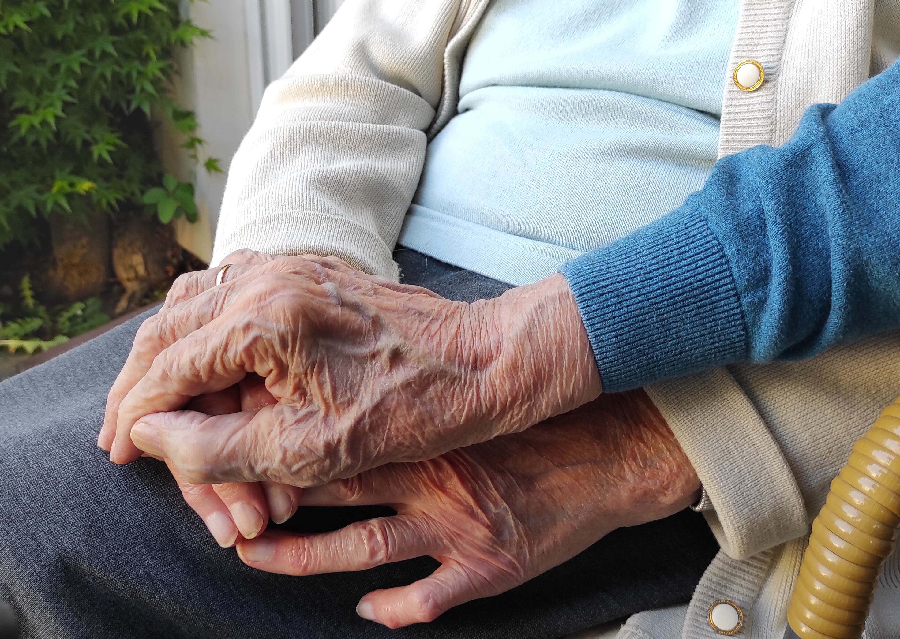 tercera edad viejitos, viejos abuelos ancianos