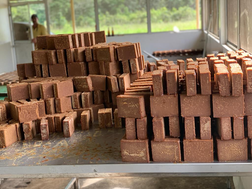 La panela, uno de los productos más representativos de la finca de Piedad Córdoba