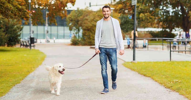 Suelen hacer sus necesidades en el césped.