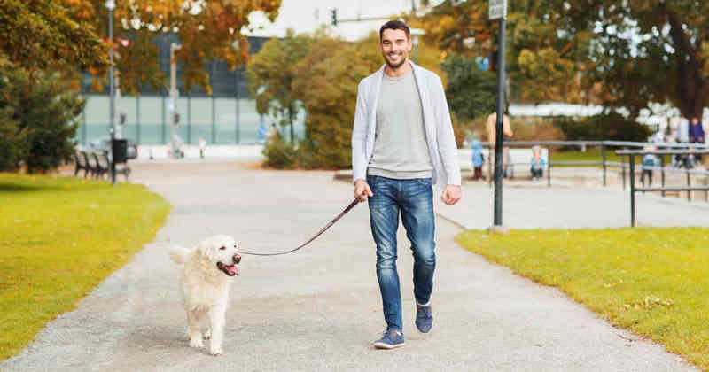 Suelen hacer sus necesidades en el césped.