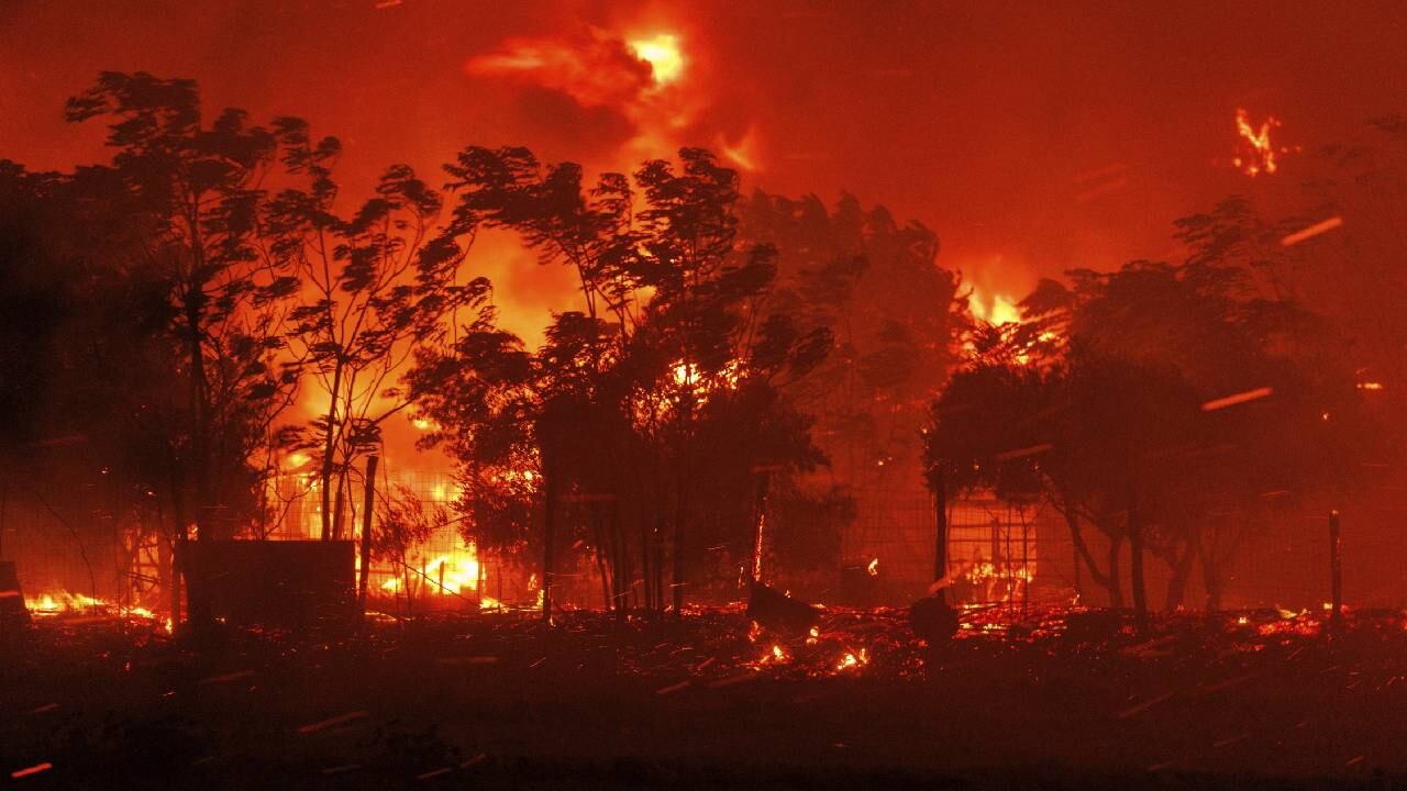 Un incendio forestal en la región nororiental de Evros, Grecia.