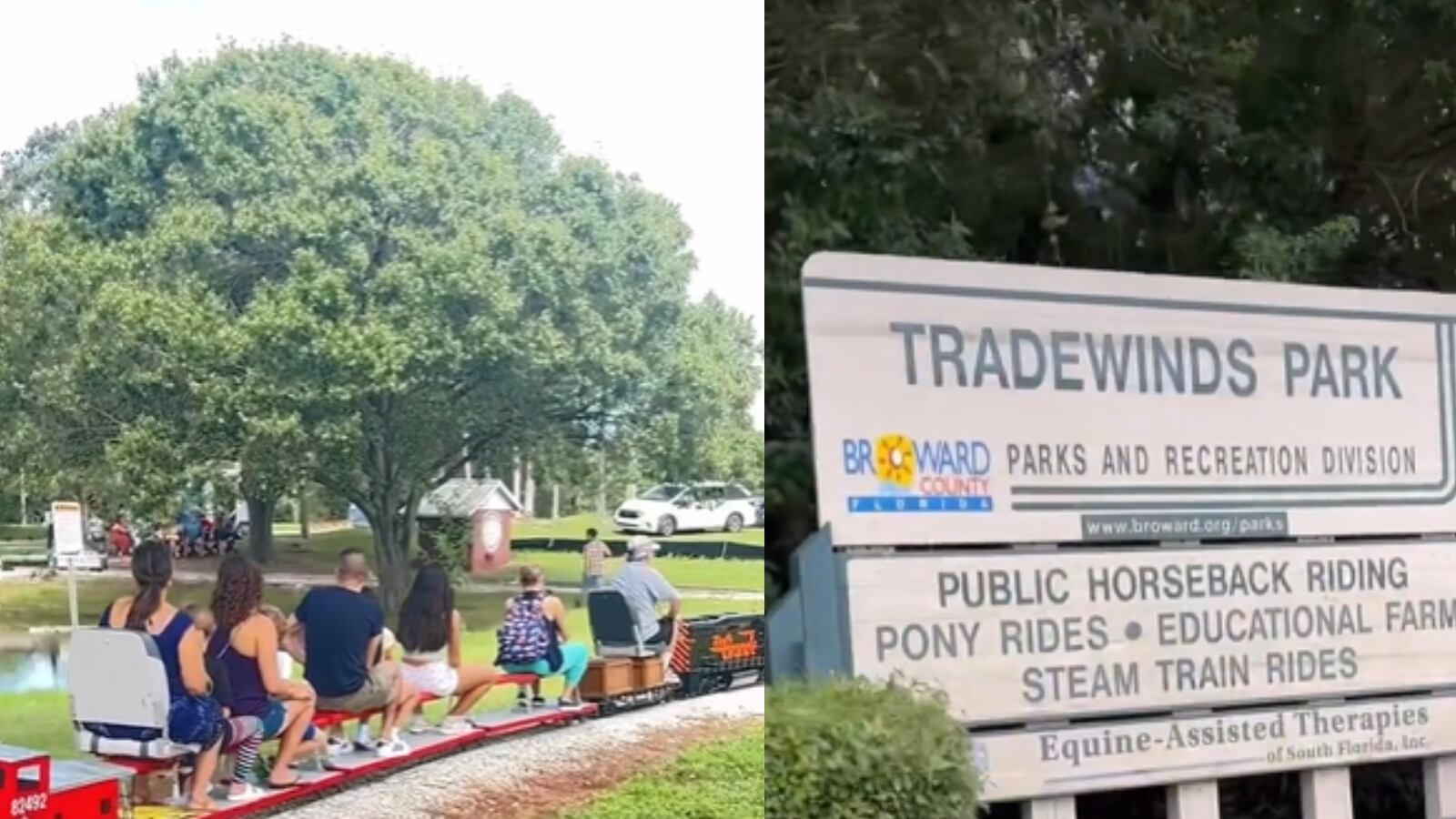 La magia de subirse en un tren en miniatura