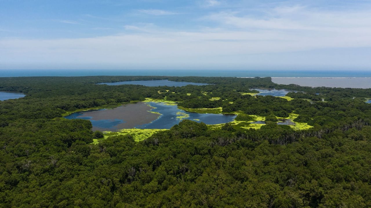 270 hectáreas a Parques Nacionales para conservación de la Isla de Salamanca.
