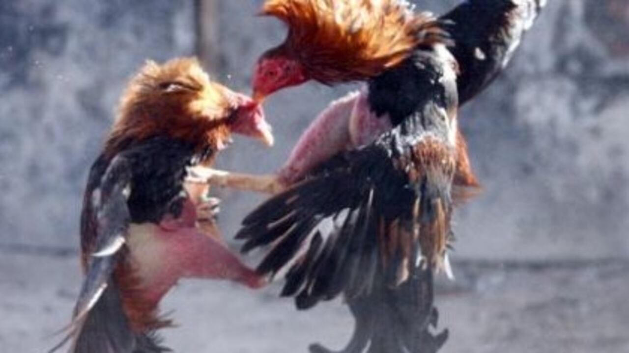 Foto: www.zocalo.com.mx