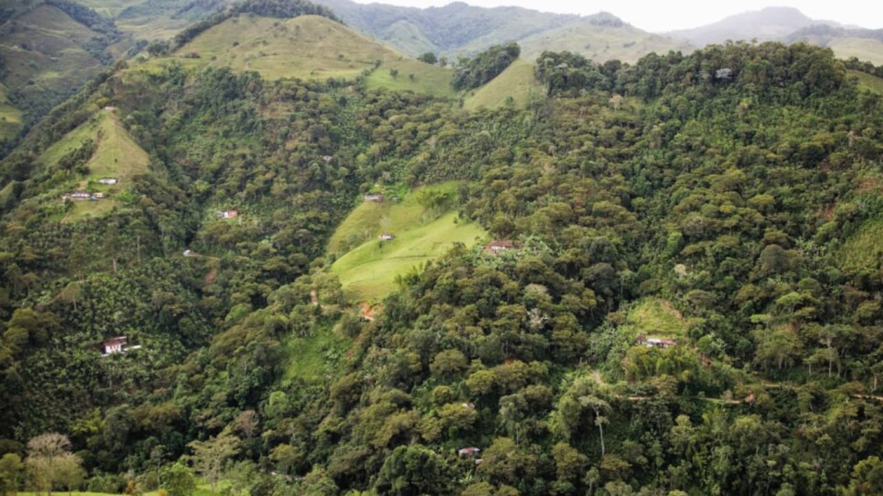 Ansermanuevo es un buen destino para los amantes de la naturaleza.