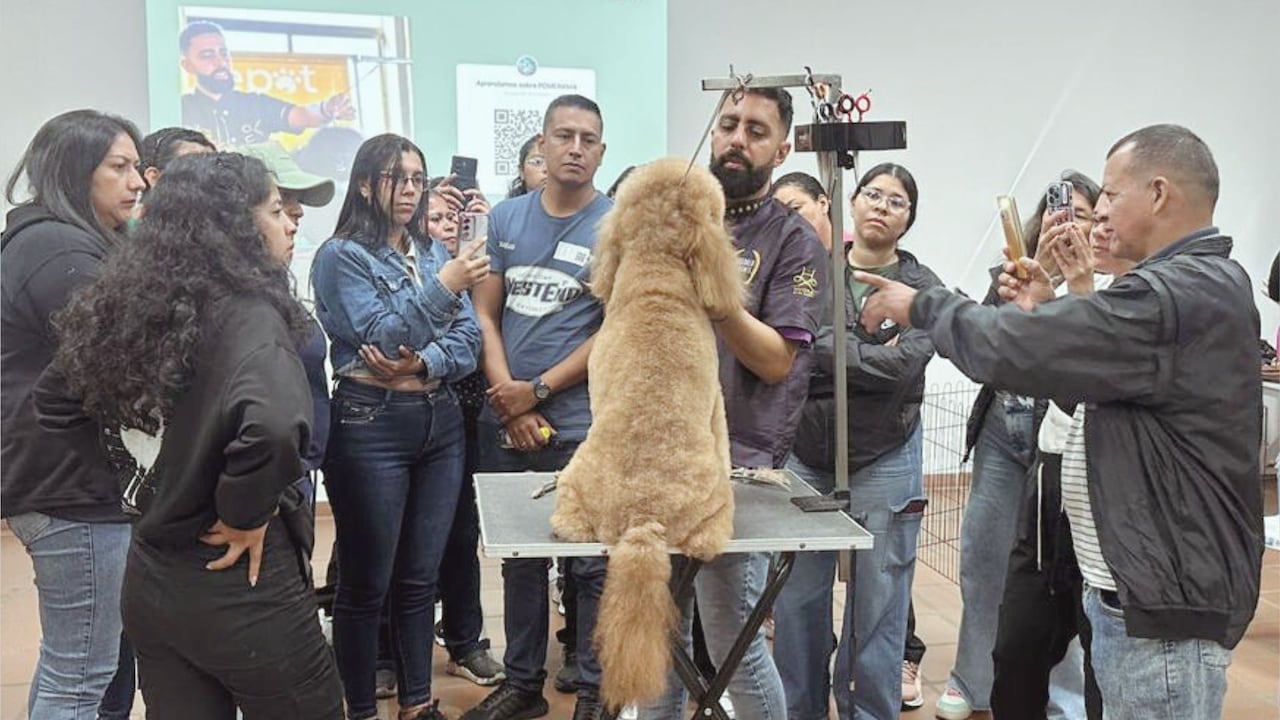 “El programa surgió como respuesta a la necesidad de reconocer a quienes ejercen este oficio y abrirles oportunidades de crecimiento real –agrega–. No se trata solo de enseñar una técnica, sino de fortalecer competencias humanas, comunicativas y de servicio”, afirma Claudia Lorena Gómez, fundadora de Can Spa y líder del programa ‘Manos que transforman’