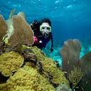 Bucear es una de las actividades que con frecuencia disfrutan los colombianos.