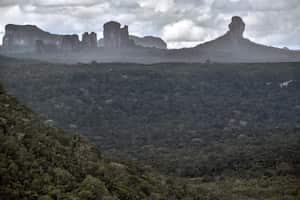 Con un extensión de 2,7 millones de hectáreas que abarcan cinco municipios amazónicos en las regiones del Guaviare y Caquetá, el mayor parque natural del país conserva una de las principales diversidades biológicas del planeta y lugares sagrados para las poblaciones indígenas. | AFP