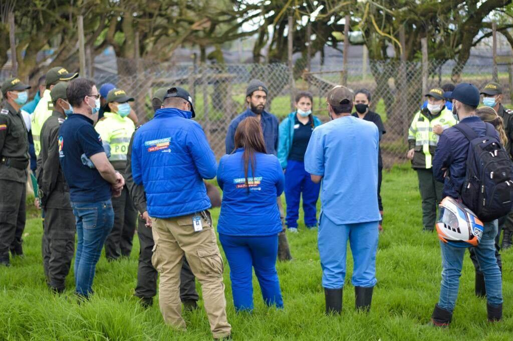 Funcionarios del Instituto de Protección y Bienestar Animal de Cundinamarca (IPYBAC), y el Programa de Bienestar Animal de la Alcaldía de Funza, lideraron los procedimientos.