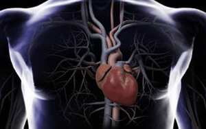 La vacuna ataca los depósitos de grasa en las arterias que pueden provocar un infarto.