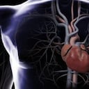 La vacuna ataca los depósitos de grasa en las arterias que pueden provocar un infarto.