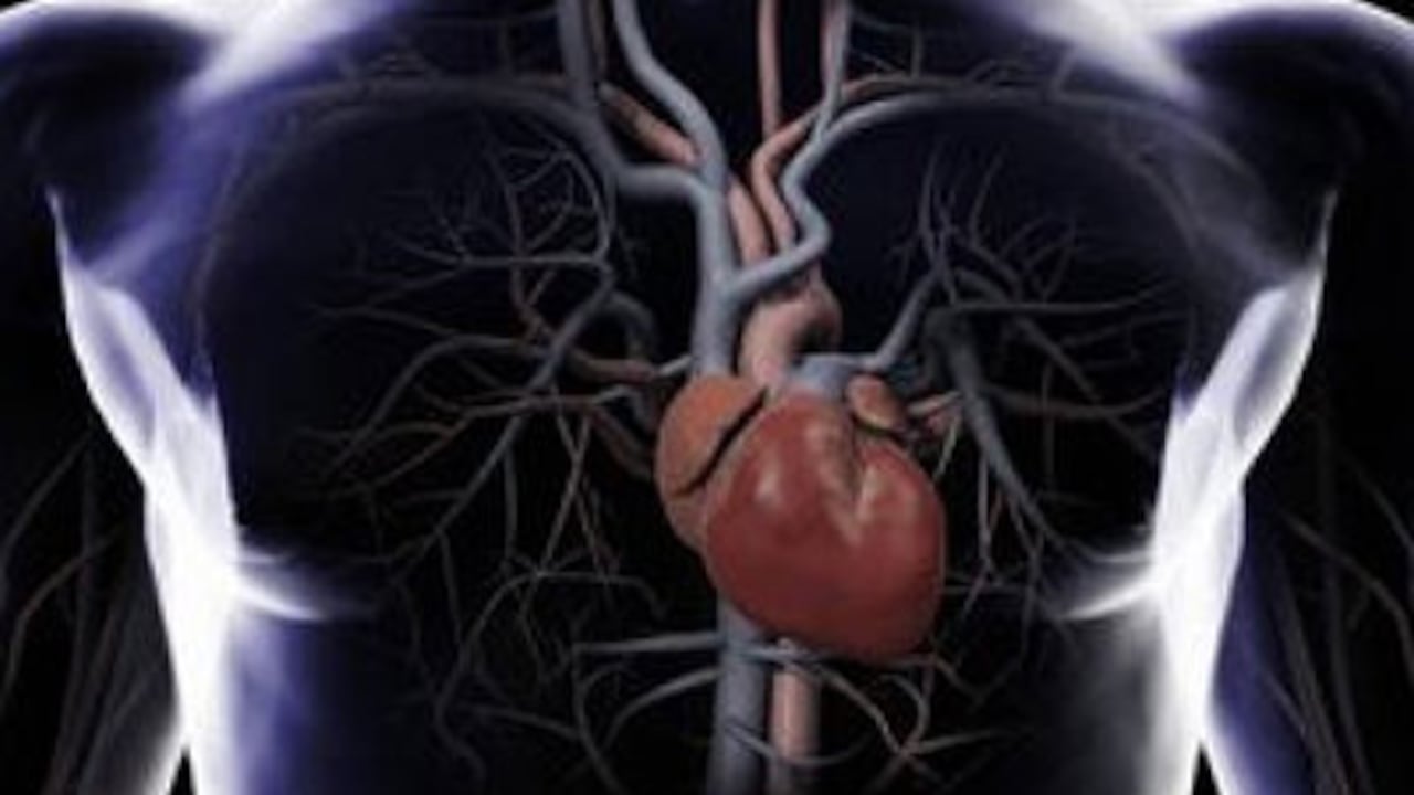 La vacuna ataca los depósitos de grasa en las arterias que pueden provocar un infarto.