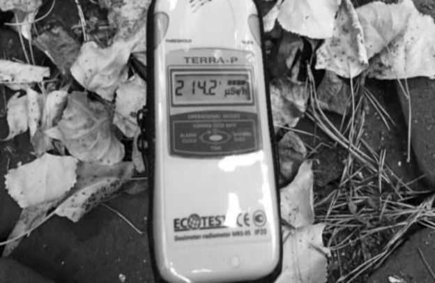 Con un dosímetro, los visitantes de la zona de exclusión pueden medir los cambios en la radiación y la exposición a la misma. Foto: Jerzy Wierzbicki