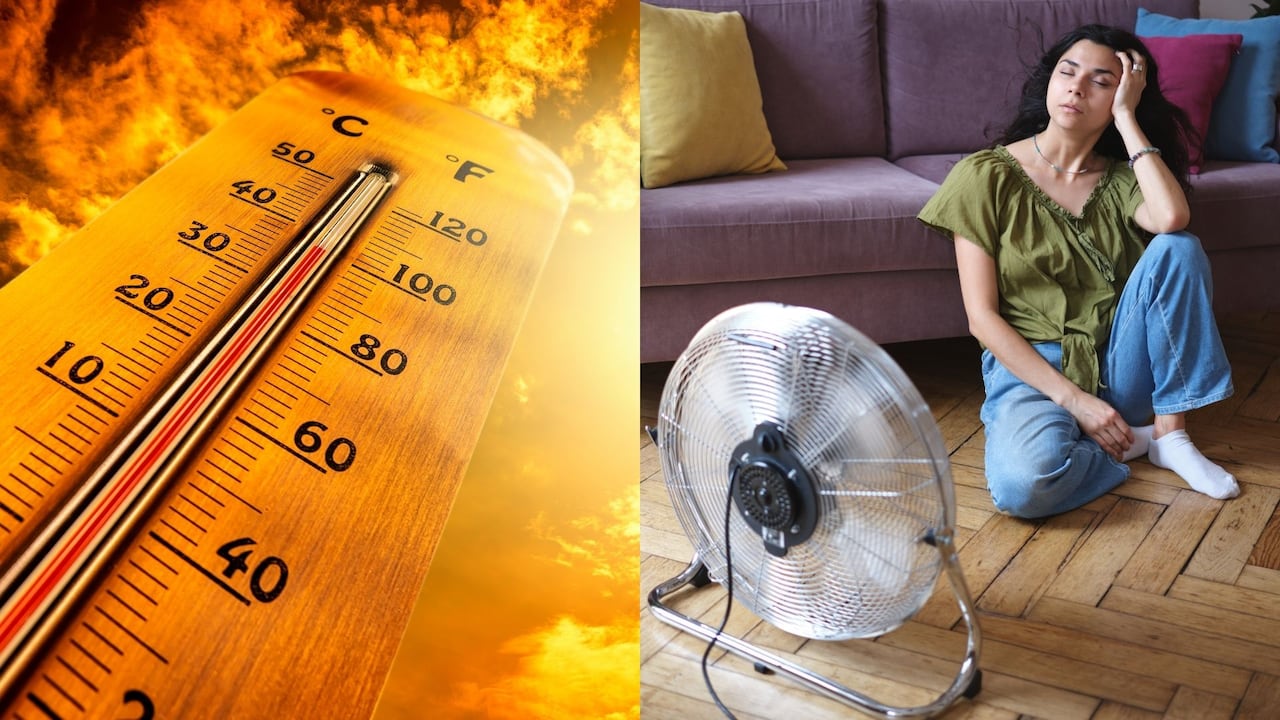 Una ola de calor ocurre cuando las temperaturas se mantienen por encima de lo habitual durante varios días consecutivos