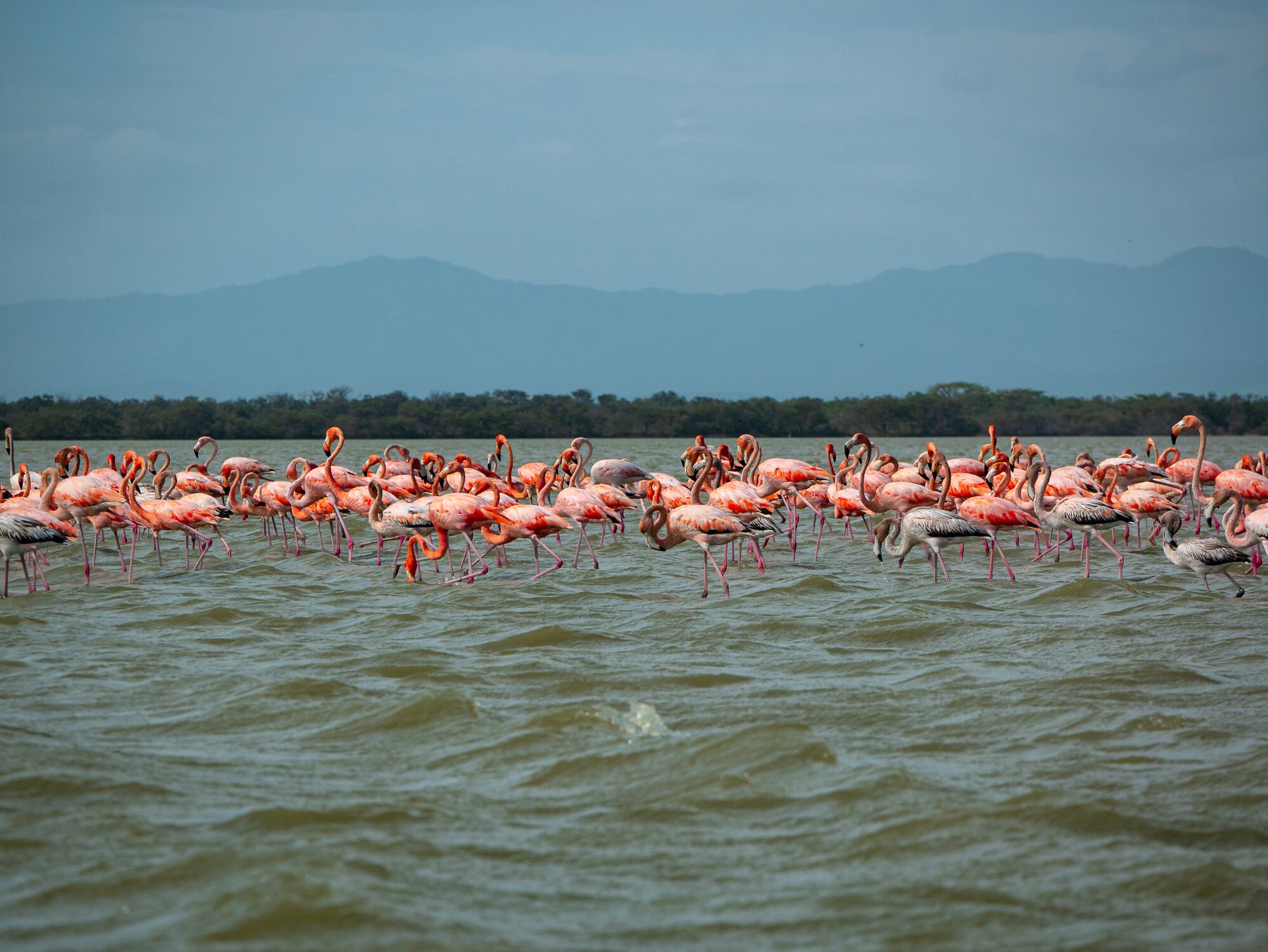 Parque Los Flamencos en La Guajira