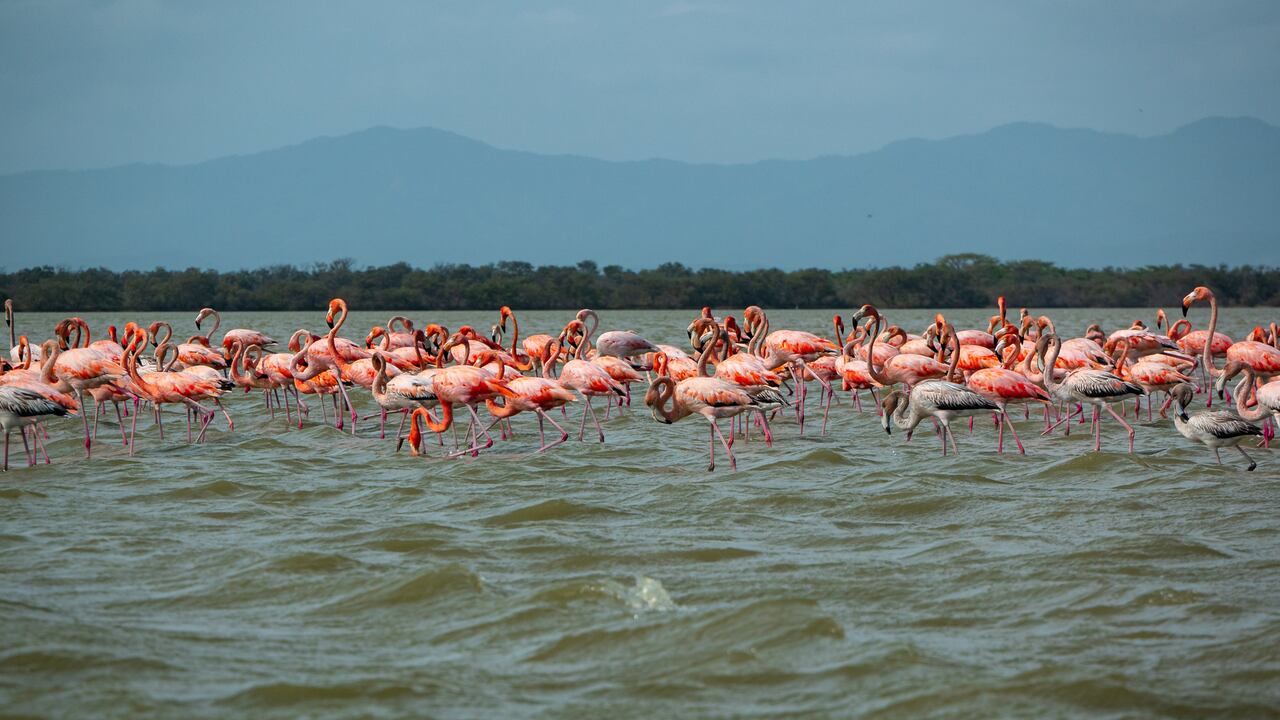 Parque Los Flamencos en La Guajira