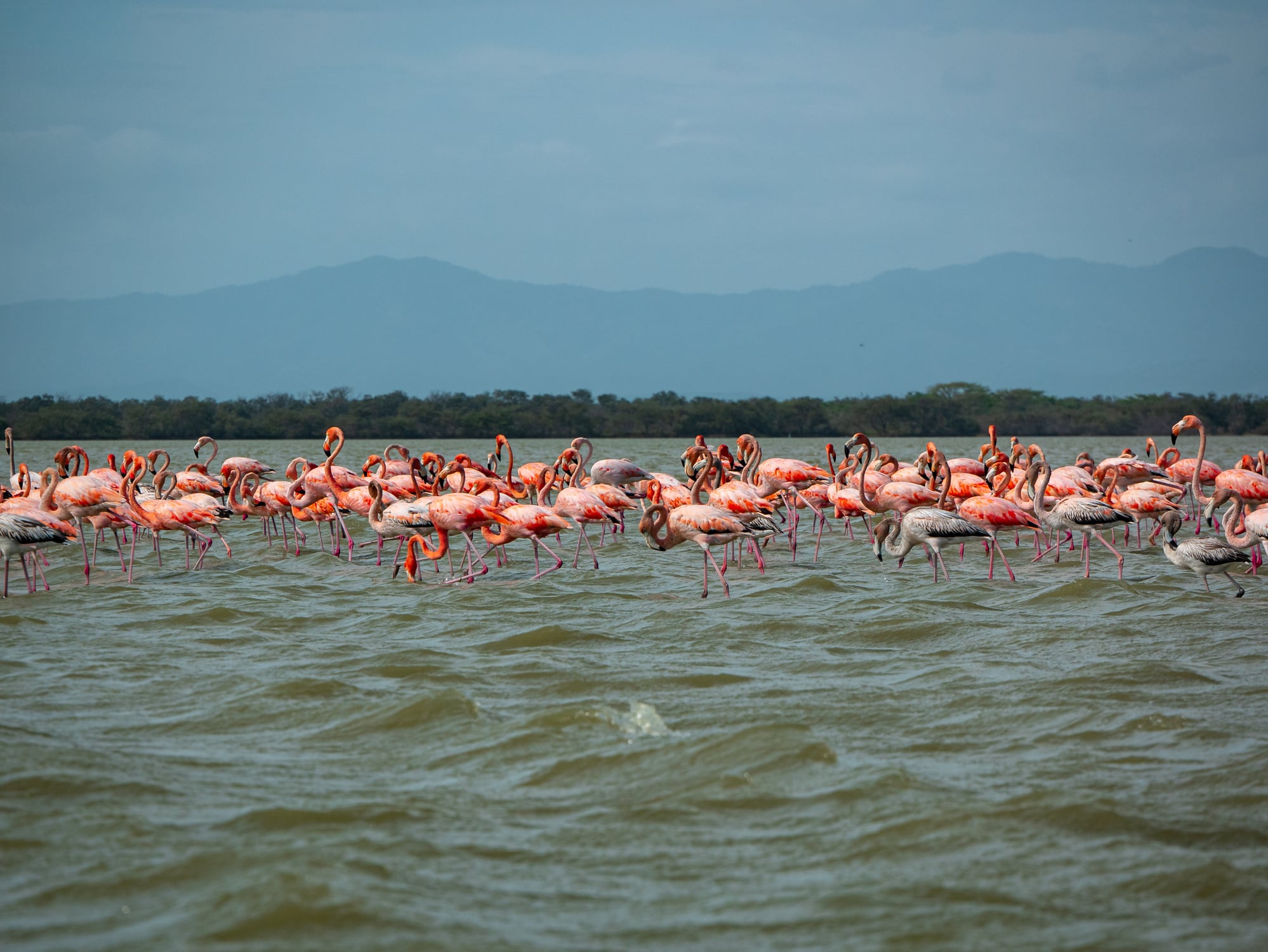 Parque Los Flamencos en La Guajira