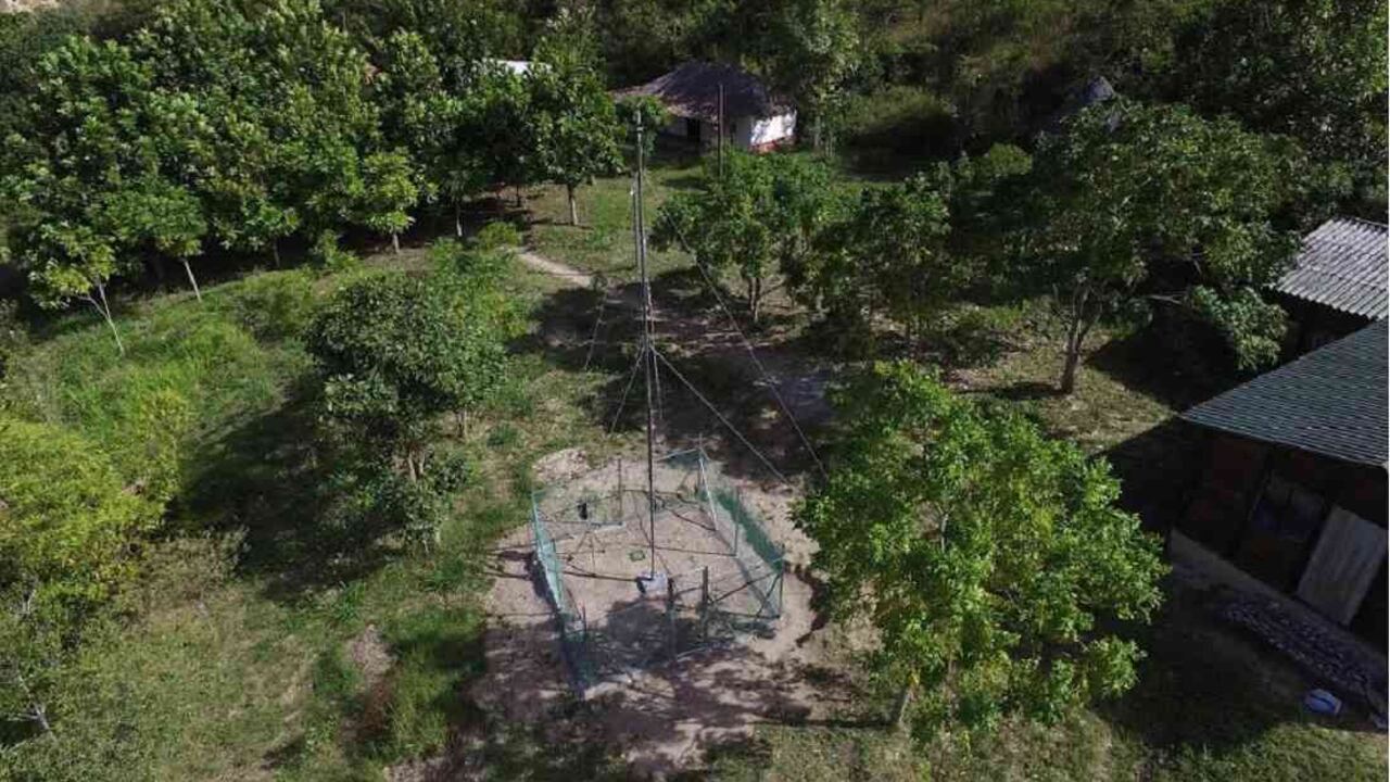 En 37 áreas protegidas se desarrollan proyectos de conservación y desarrollo sostenible. Foto: PNN