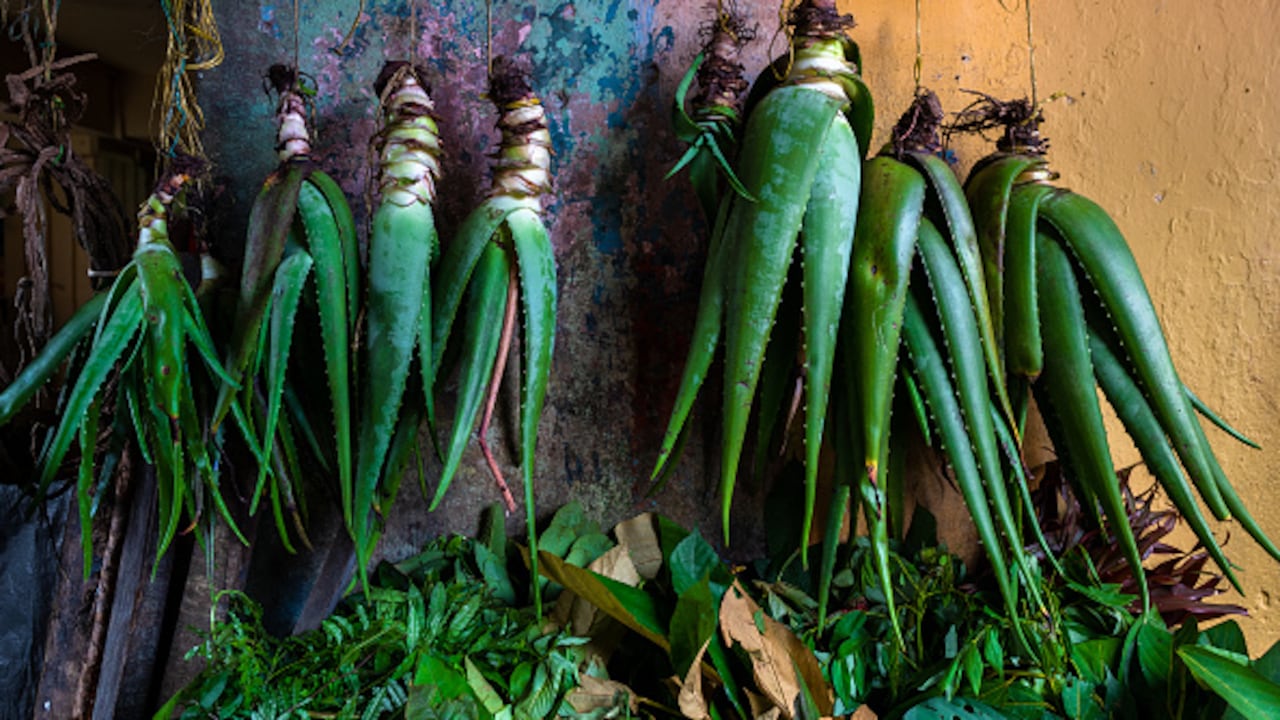 Imagen de referencia.