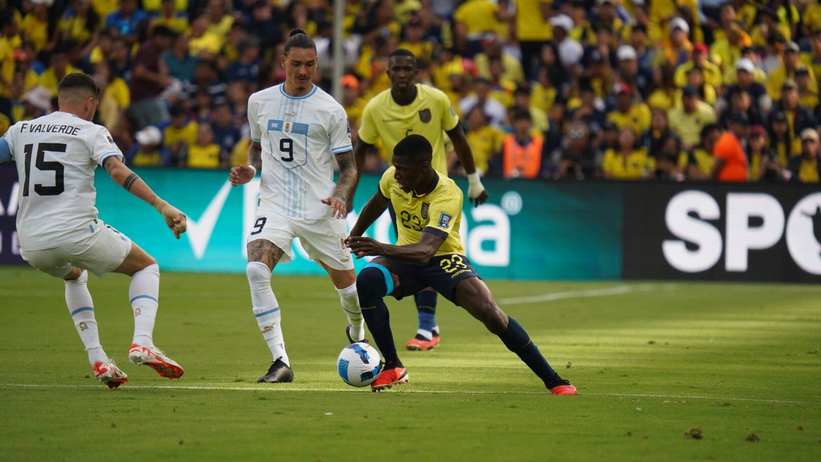 Moisés Caicedo, volante de Ecuador, ante la marca de Darwin Núñez.