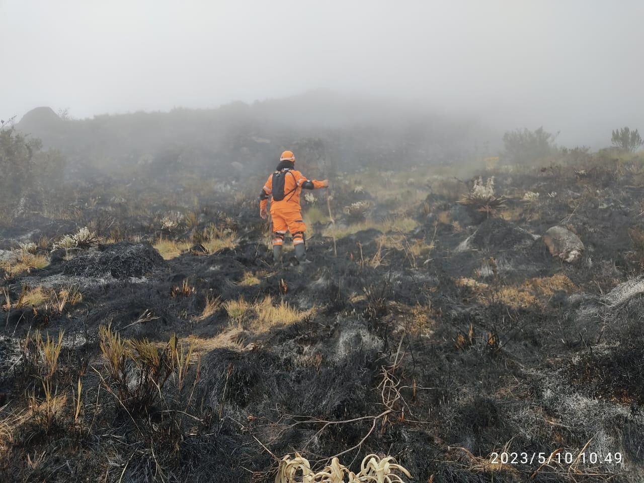 Las llamas consumieron gran parte del páramo.