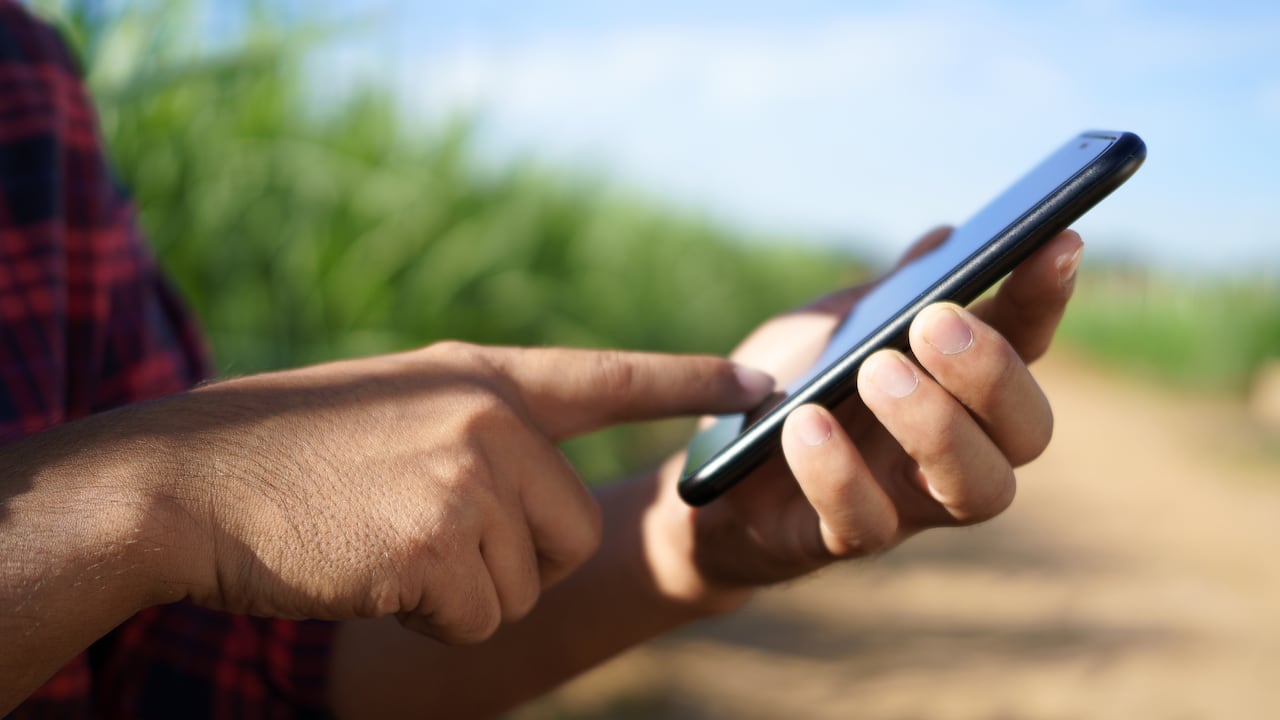 Mensualmente 18 millones de personas utilizan las conexiones de Puntored.