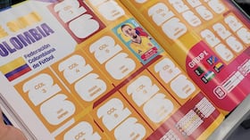 Páginas de Colombia en el álbum Panini. En total son 18 jugadores, más el escudo y equipo.