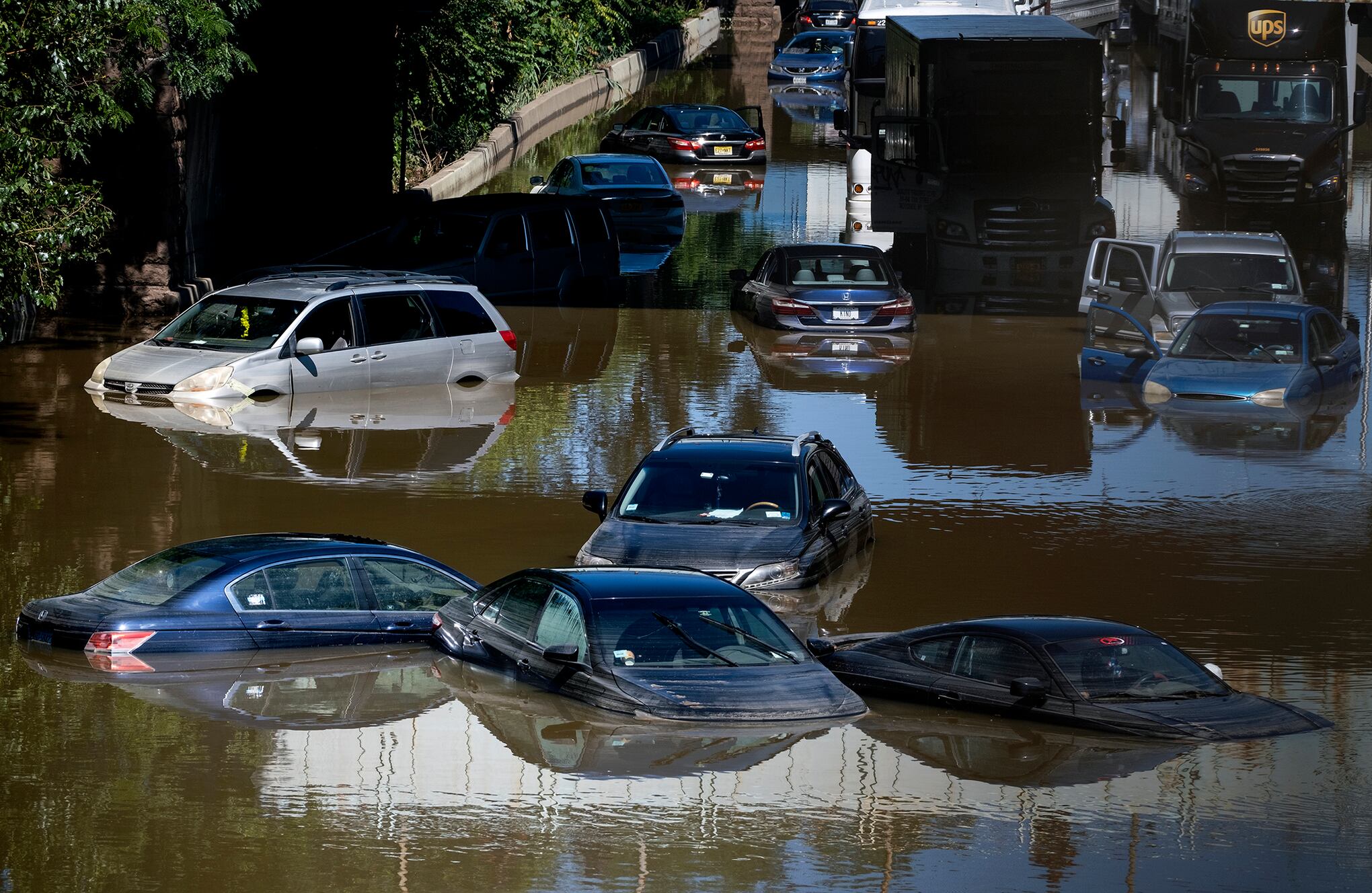 Restos de IDA fotografiado en Nueva York