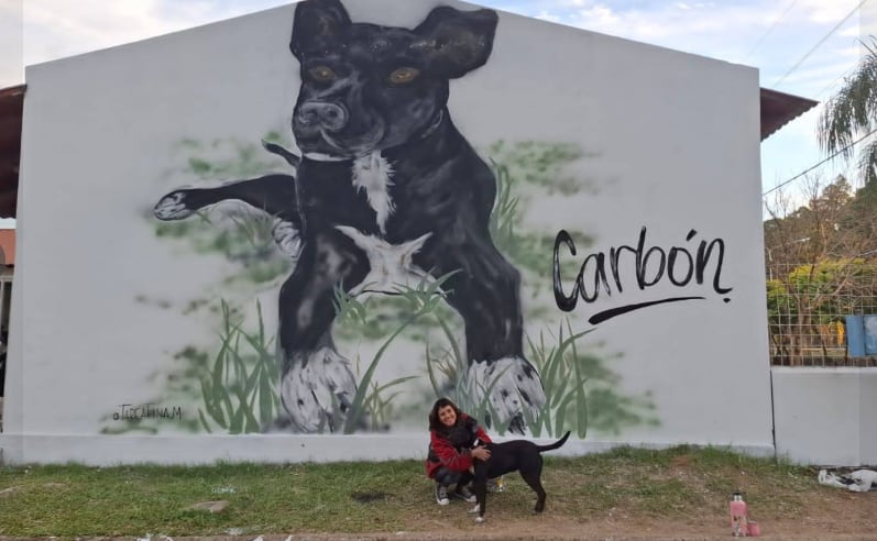 Carbón, el perrito que fue homenajeado con un mural en un colegio.