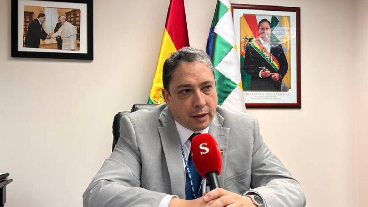 El embajador ante la OEA se despachó contra algunas comisiones de la Organización incluyendo a la Secretaría General
