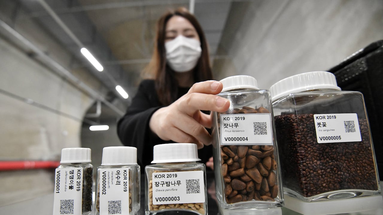 El tunel tiene una capacidad de dos millones de semillas y ofrece sus servicios a otros países.