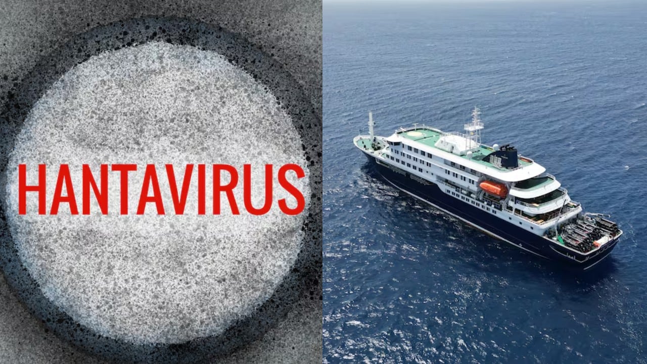 La transmisión de hantavirus en un crucero es "marginal".